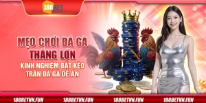 Mẹo chơi đá gà thắng lớn - Kinh nghiệm bắt kèo trận đá gà dễ ăn