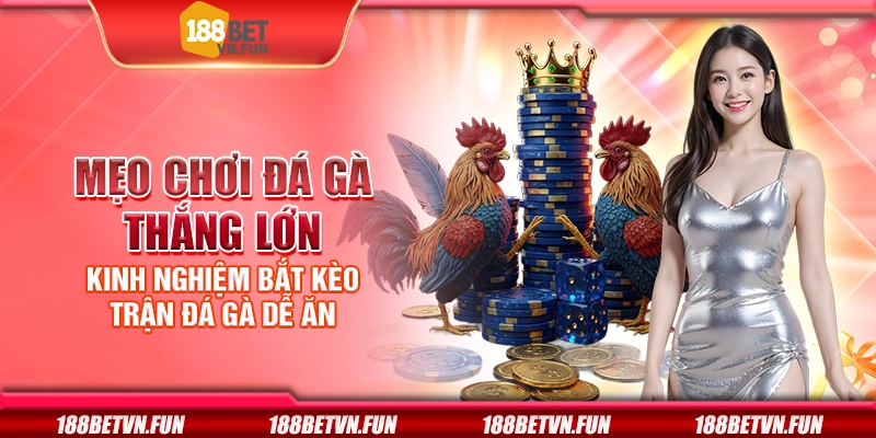 Mẹo chơi đá gà thắng lớn - Kinh nghiệm bắt kèo trận đá gà dễ ăn