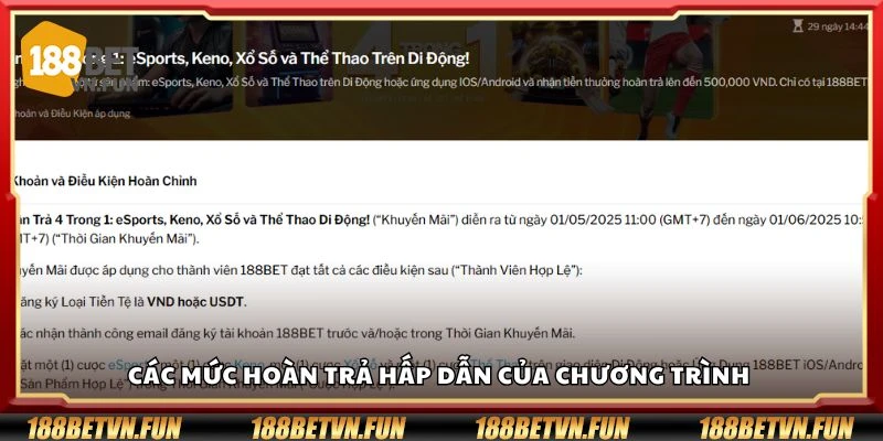 Các mức hoàn trả hấp dẫn của chương trình