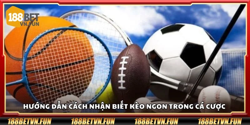 Hướng dẫn cách nhận biết kèo ngon trong cá cược 