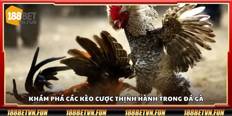 Khám phá các kèo cược thịnh hành trong đá gà