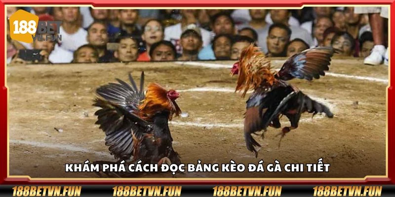 Khám phá cách đọc bảng kèo đá gà chi tiết