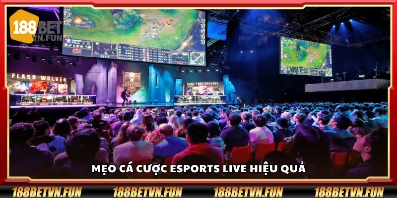 Mẹo cá cược Esports live hiệu quả