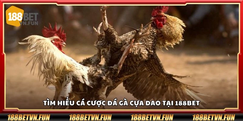 Tìm hiểu cá cược đá gà cựa dao tại 188Bet