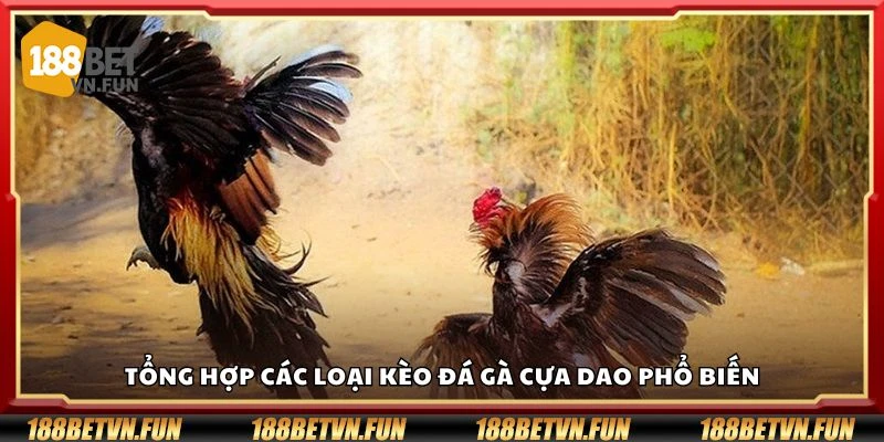 Tổng hợp các loại kèo đá gà cựa dao phổ biến